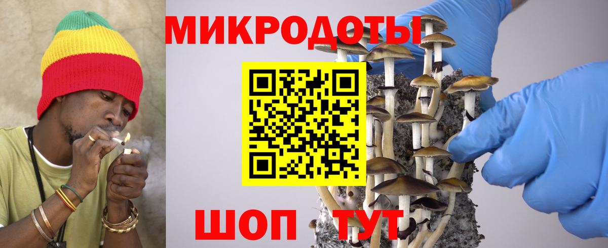 Галлюциногенные грибы прущие грибы Урус-Мартан